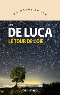 image : cafes litteraires/Un soir un livre/Un Soir 2019/UnSoir2019_LucaCouv_tourOie.jpg